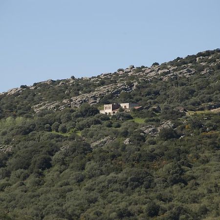 Campi Elisi B&B Sassari Esterno foto