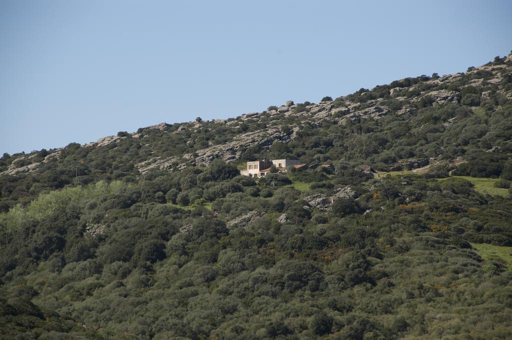Campi Elisi B&B Sassari Esterno foto
