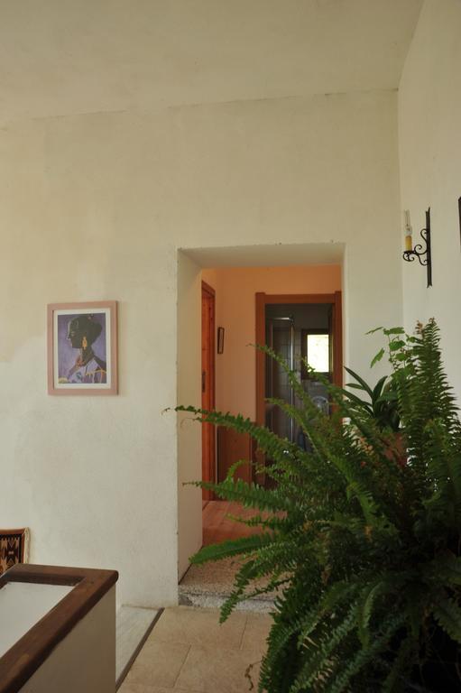 Campi Elisi B&B Sassari Esterno foto